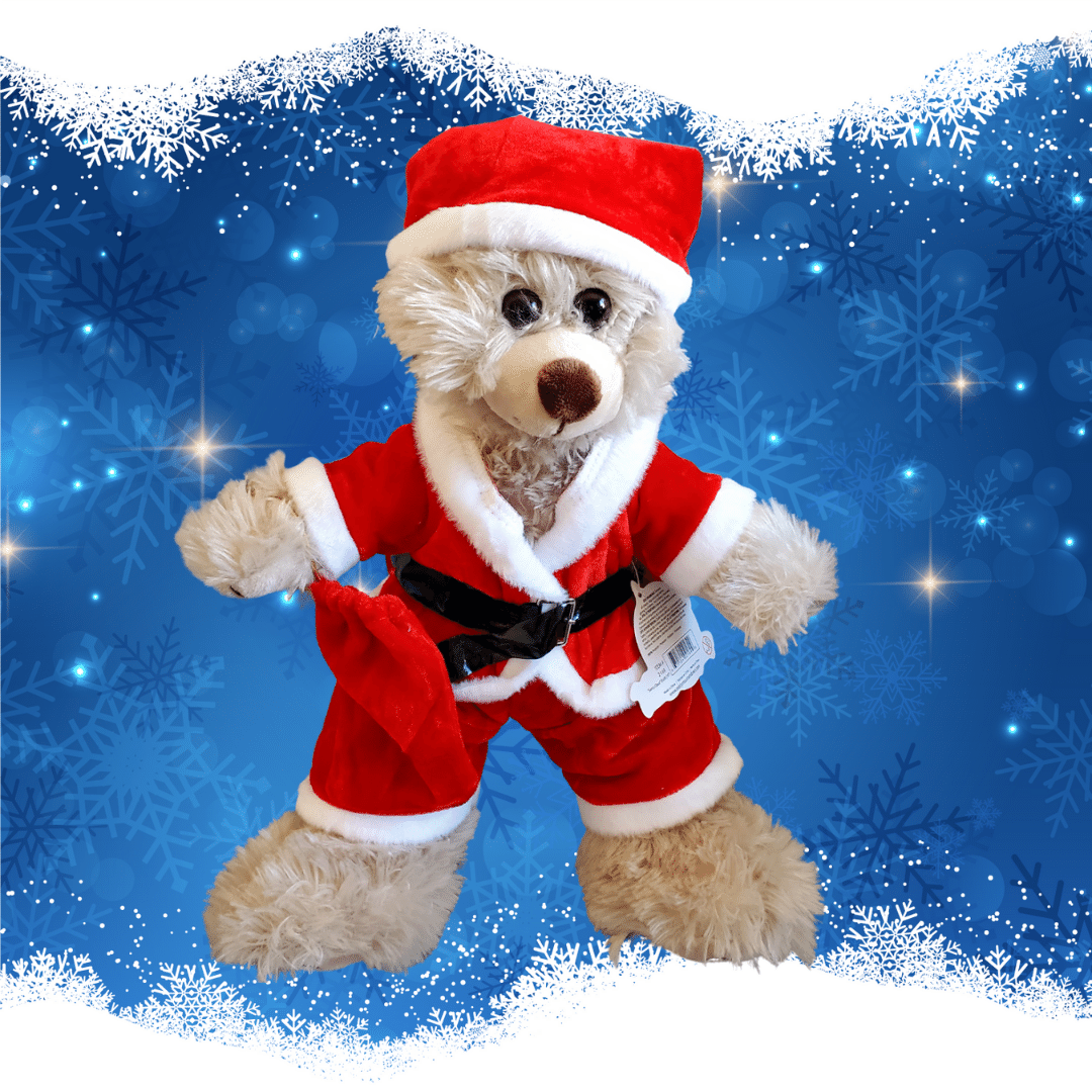 Santa Suit