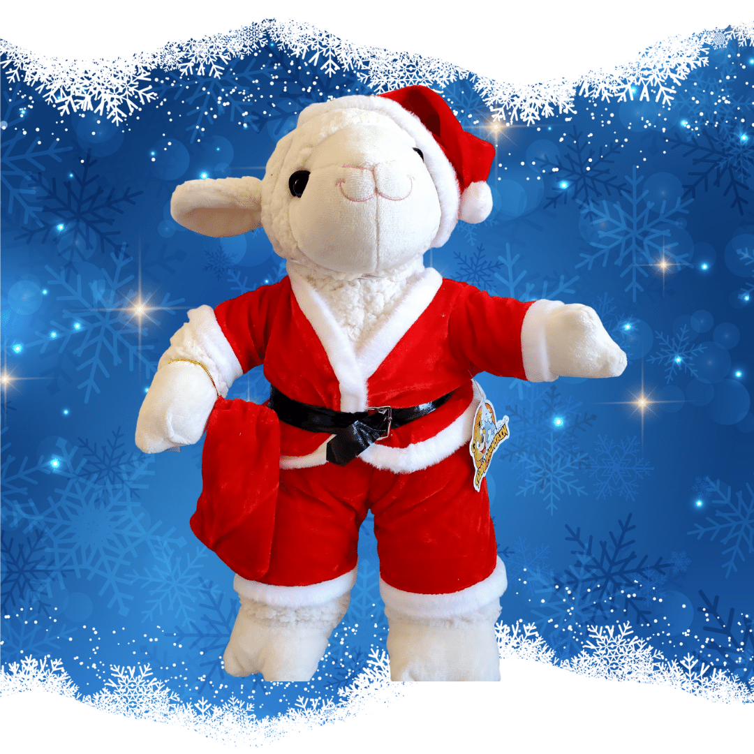 Santa Suit